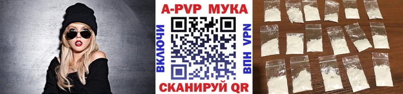 A-PVP СК  Анадырь 