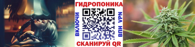Каннабис сатива  мориарти наркотические препараты  Анадырь 